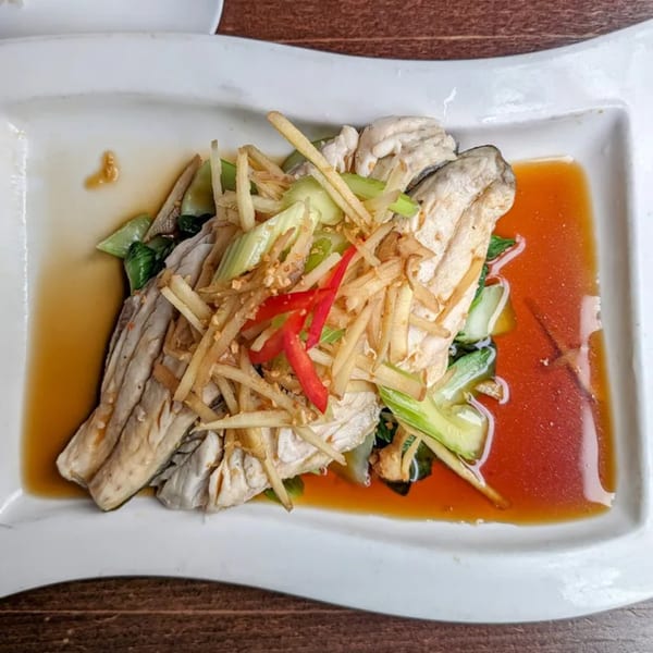 Steamed fish with ginger, scallions, and red chilies in a savory sauce on a white plate.